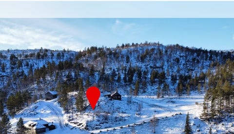 Bilde 1 av annonsen