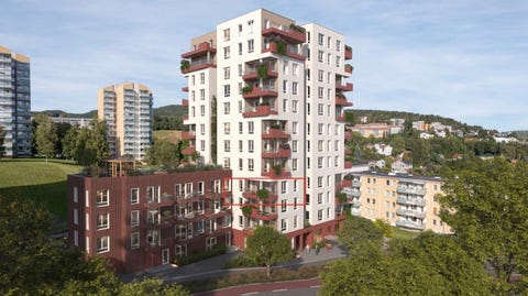 Bilde 1 av annonsen