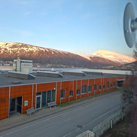 Bilde 1 av annonsen