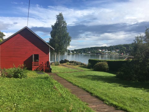 Bilde 1 av annonsen