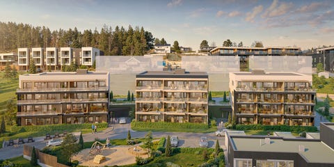 Bilde 1 av annonsen