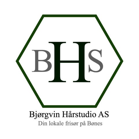 Bjørgvin Hårstudio As logo