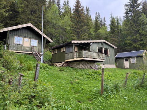 Bilde 1 av annonsen