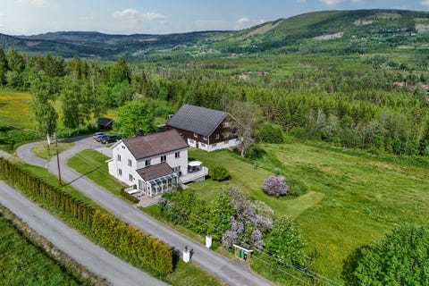 Bilde 2 av annonsen