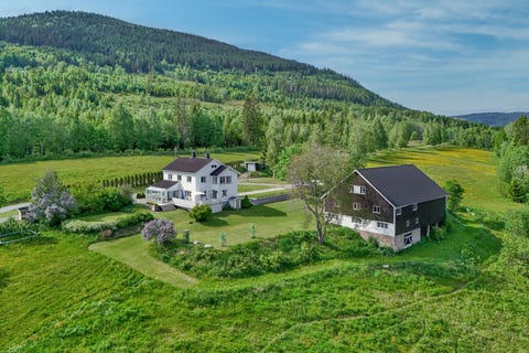 Bilde 1 av annonsen