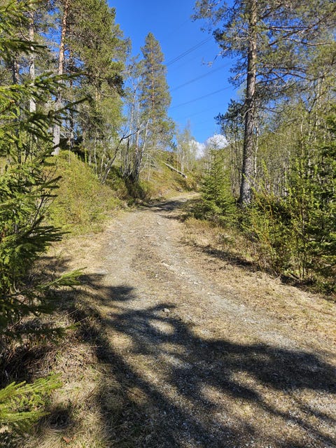 Bilde 2 av annonsen