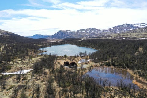 Bilde 2 av annonsen