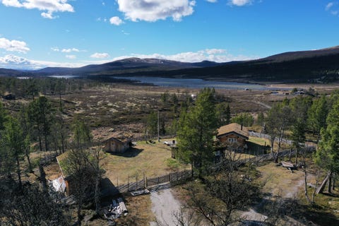 Bilde 1 av annonsen