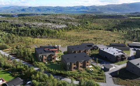 Bilde 1 av annonsen