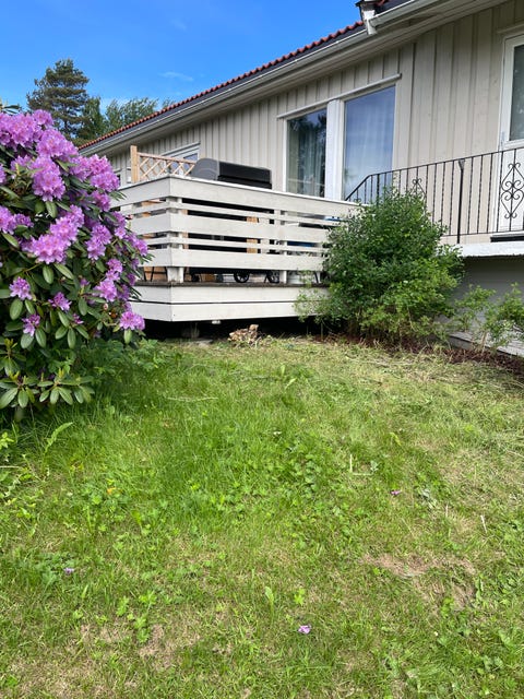 Bilde 1 av annonsen