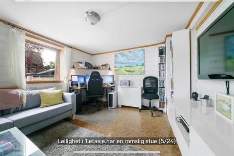 Bilde 2 av annonsen