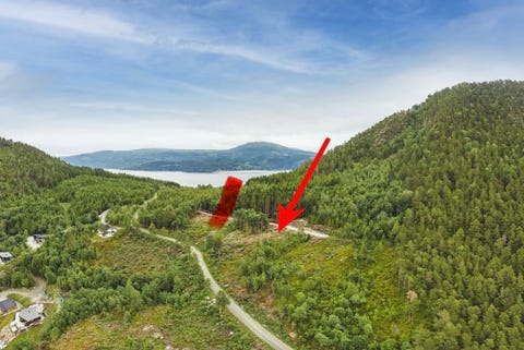 Bilde 1 av annonsen