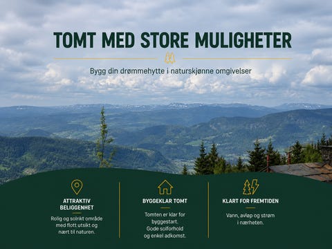 Bilde 1 av annonsen