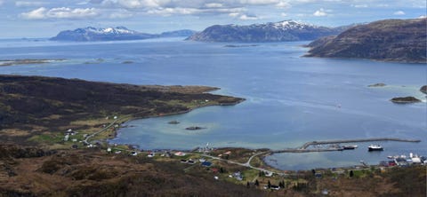 Bilde 1 av annonsen