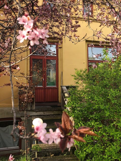 Bilde 2 av annonsen
