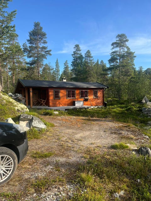 Bilde 1 av annonsen