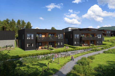 Bilde 1 av annonsen