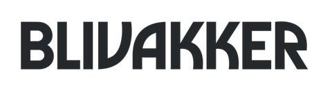 Brandsdal Group AS logo