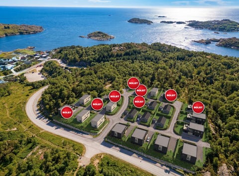 Bilde 1 av annonsen