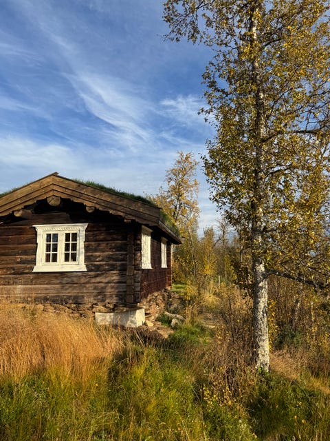 Bilde 2 av annonsen