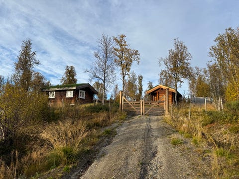 Bilde 1 av annonsen