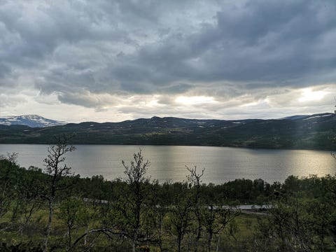 Bilde 1 av annonsen
