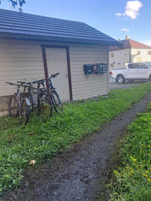 Bilde 2 av annonsen