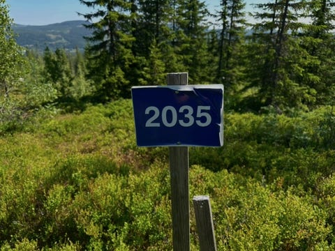 Bilde 1 av annonsen
