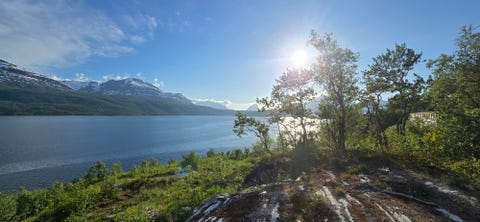 Bilde 1 av annonsen