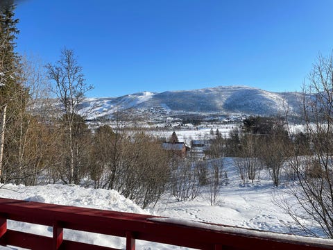 Bilde 2 av annonsen