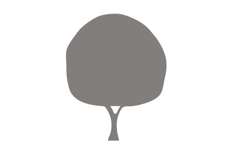 DE BERGENSKE AS logo