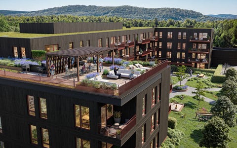 Bilde 1 av annonsen