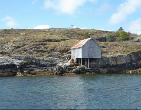 Bilde 1 av annonsen