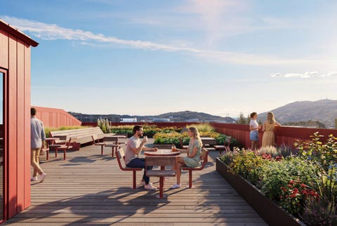 Bilde 1 av annonsen