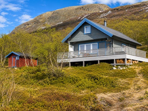 Bilde 1 av annonsen