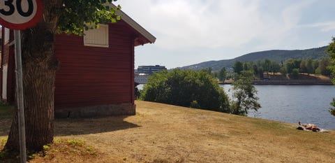 Bilde 1 av annonsen