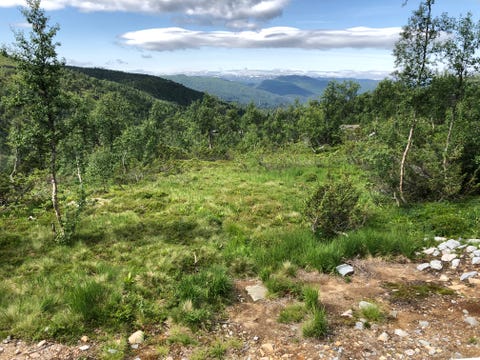 Bilde 1 av annonsen