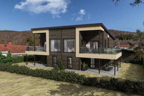 Bilde 1 av annonsen