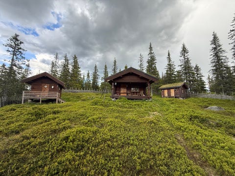 Bilde 1 av annonsen