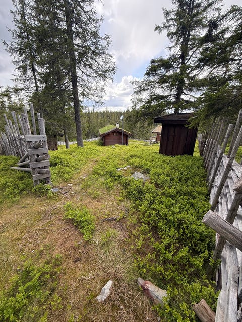 Bilde 1 av annonsen