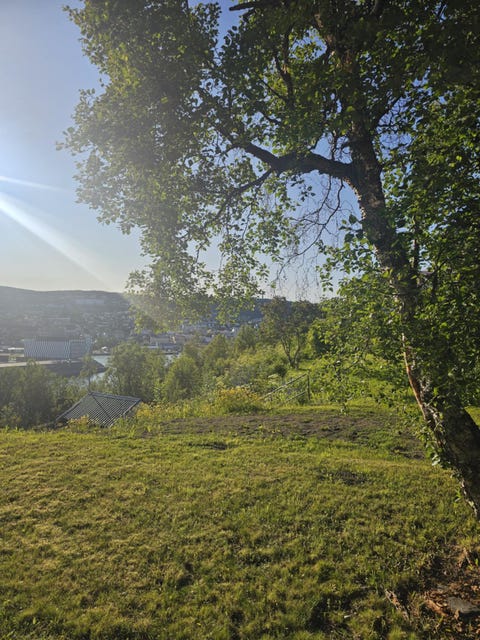 Bilde 2 av annonsen