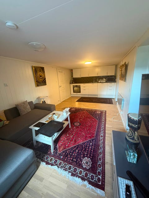 Bilde 1 av annonsen