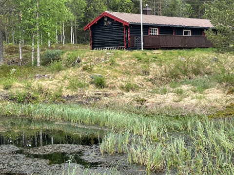 Bilde 2 av annonsen