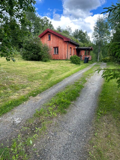 Bilde 1 av annonsen