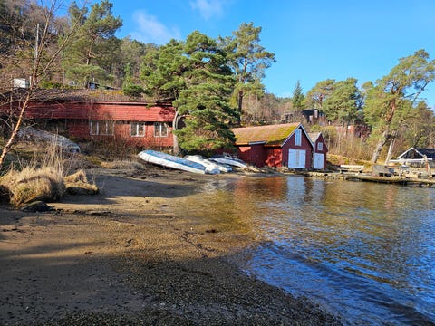Bilde 1 av annonsen