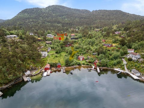 Bilde 1 av annonsen
