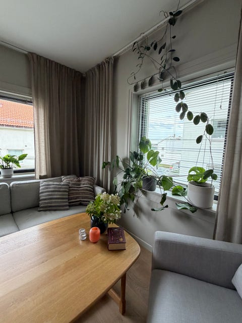 Bilde 2 av annonsen