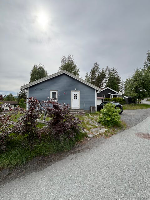 Bilde 1 av annonsen