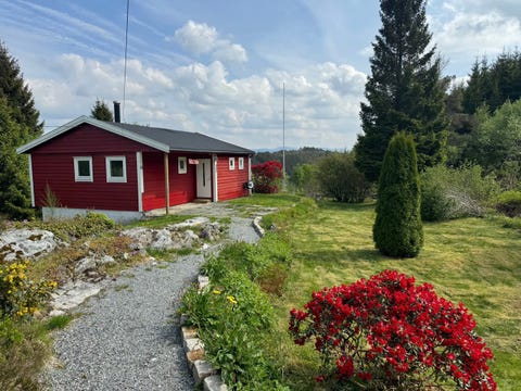 Bilde 1 av annonsen