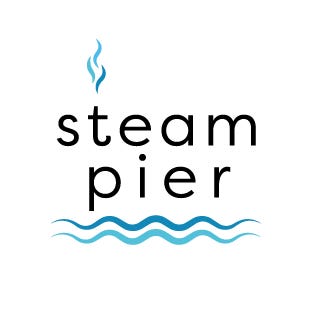 STEAM AS logo